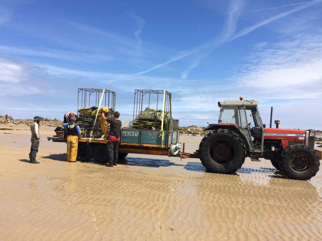 Le tracteur et sa remorque avec les poches d'huîtres arrêté sur la plage